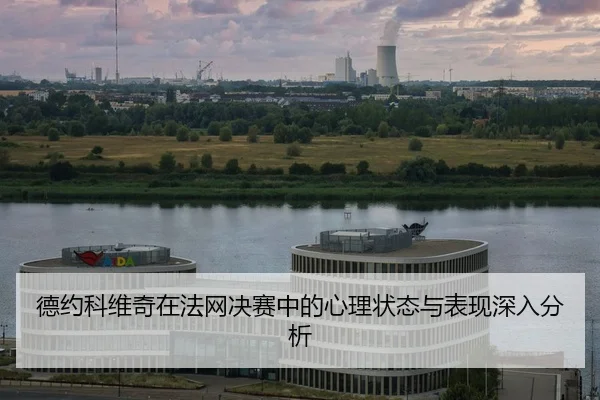de-yue-ke-wei-qi-zai-fa-wang-jue-sai-zhong-de-xin-li-zhuang-tai-yu-biao-xian-shen-ru-fen-xi-2-896.jpg