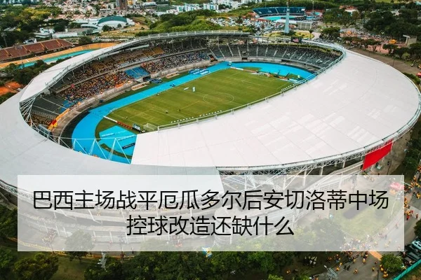 巴西主场战平厄瓜多尔后安切洛蒂中场控球改造还缺什么