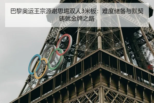 巴黎奥运王宗源谢思埸双人3米板：难度储备与默契铸就金牌之路