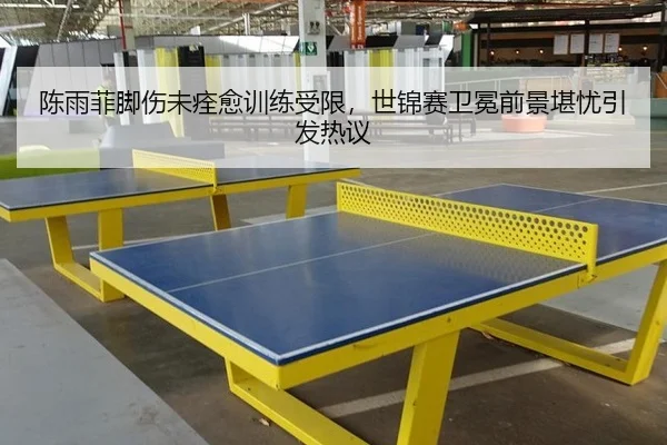 陈雨菲脚伤未痊愈训练受限，世锦赛卫冕前景堪忧引发热议