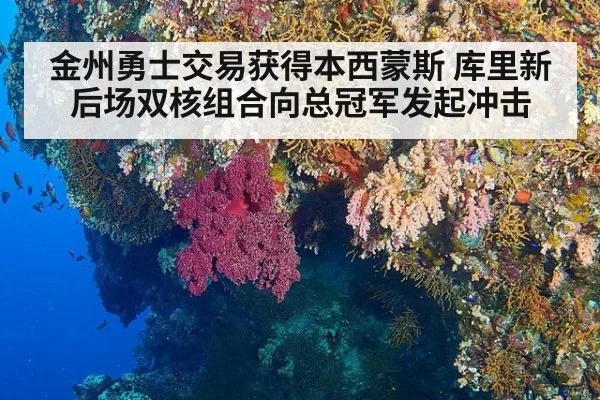 金州勇士交易获得本西蒙斯 库里新后场双核组合向总冠军发起冲击