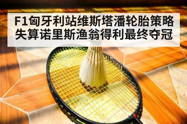 F1匈牙利站维斯塔潘轮胎策略失算诺里斯渔翁得利最终夺冠